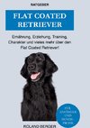 Flat Coated Retriever