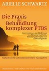 Die Praxis der Behandlung komplexer PTBS