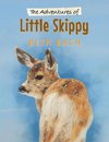 The Adventures of Little Skippy