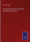 Grammatik der arabischen Sprache für akademische Vorlesungen