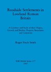 Roadside Settlements in Lowland Roman Britain