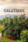 Galatians Bible Journal