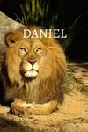 Daniel Bible Journal