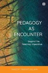 Pedagogy as Encounter