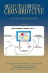 Mechanotransduction - Chondroyctye