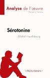 Sérotonine de Michel Houellebecq (Analyse de l'oeuvre)