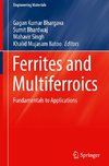 Ferrites and Multiferroics