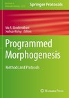 Programmed Morphogenesis