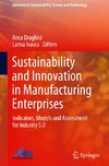 Sustainability and Innovation in Manufacturing Enterprises