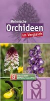 Heimische Orchideen im Vergleich - 10er-Set