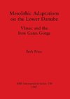 Mesolithic Adaptations on the Lower Danube