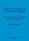 Lithics and Subsistence in North-Eastern England