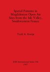 Spatial Patterns in Magdalenian Open Air Sites from the Isle Valley, Southwestern France