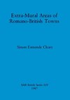 Extra-Mural Areas of Romano-British Towns