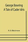 George Bowring - A Tale Of Cader Idris