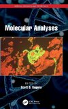 Molecular Analyses