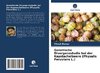 Genetische Divergenzstudie bei der Kapstachelbeere (Physalis Peruvians L.)