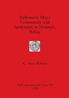 Prehistoric Maya Community and Settlement at Nohmul, Belize