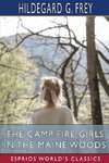 The Camp Fire Girls in the Maine Woods (Esprios Classics)