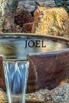 Joel Bible Journal