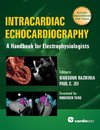 Intracardiac Echocardiography