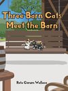 Three Barn Cats Meet the Barn