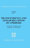 Transcendence and Linear Relations of 1-Periods