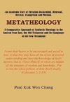 METATHEOLOGY