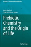 Prebiotic Chemistry and the Origin of Life