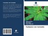 Fantasien von Cannabis