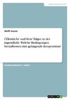 Öffentliche und freie Träger in der Jugendhilfe. Welche Bedingungen beeinflussen eine gelingende Kooperation?