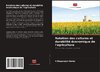 Rotation des cultures et durabilité économique de l'agriculture