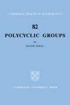 Polycyclic Groups