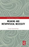 Meaning and Metaphysical Necessity