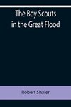 The Boy Scouts in the Great Flood