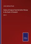 History of England from the Fall of Wolsey to the Death of Elizabeth