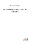 Un verano en Bornos, novela de costumbres