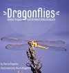 Dragonflies