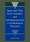 Space and Time Scale Variability and Interdependencies in Hydrological Processes