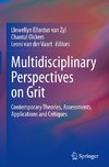 Multidisciplinary Perspectives on Grit