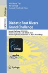 Diabetic Foot Ulcers Grand Challenge