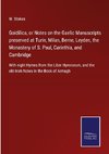 Goidilica, or Notes on the Gaelic Manuscripts preserved at Turin, Milan, Berne, Leyden, the Monastery of S. Paul, Carinthia, and Cambridge