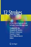 12 Strokes