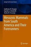 Mesozoic Mammals from South America and Their Forerunners