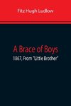 A Brace Of Boys; 1867, From 