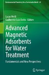 Advanced Magnetic Adsorbents for Water Treatment