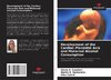 Development of the Cardiac-Placental Axis and Maternal Alcohol Consumption