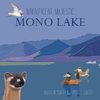 Magnificent Majestic Mono Lake