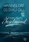 Unter dem Inselmond