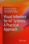 Visual Inference for IoT Systems: A Practical Approach